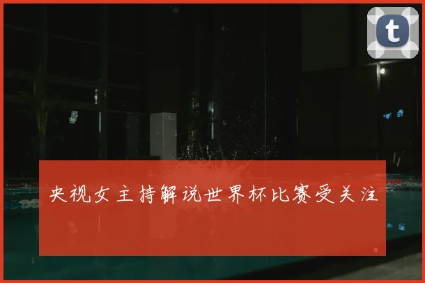 央视女主持解说世界杯比赛受关注